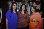 at Nimmu Panjabi_s festive collection launch in Mumbai on 18th Oct 2011 (13).JPG